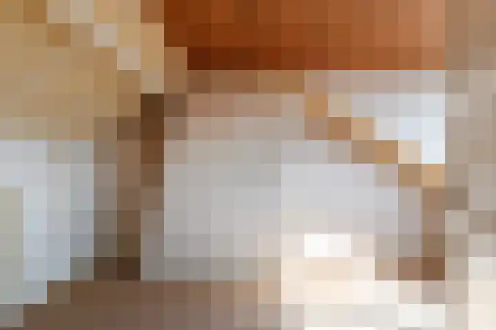 Linnaeuslaan 5 Utrecht thumbnail 13