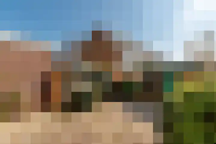 Linnaeuslaan 5 Utrecht thumbnail 16