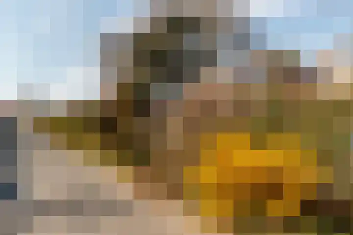 Linnaeuslaan 5 Utrecht thumbnail 20