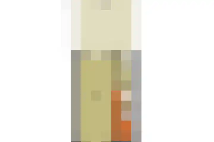 Linnaeuslaan 5 Utrecht thumbnail 22