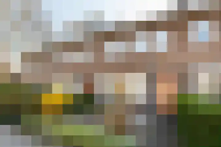 Linnaeuslaan 5 Utrecht thumbnail 26