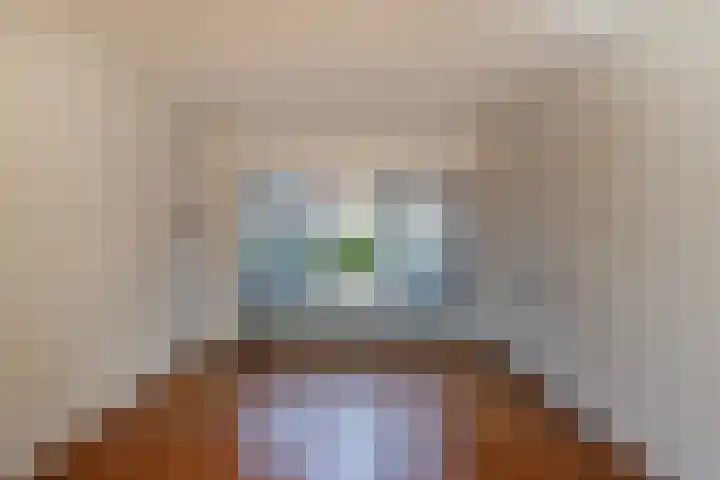 Linnaeuslaan 5 Utrecht thumbnail 4