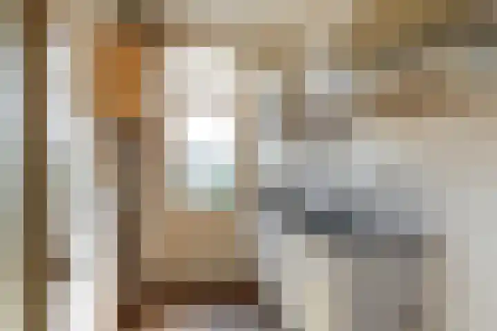 Linnaeuslaan 5 Utrecht thumbnail 5