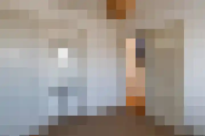 Linnaeuslaan 5 Utrecht thumbnail 7