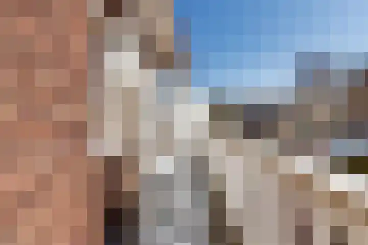 Linnaeuslaan 5 Utrecht thumbnail 9