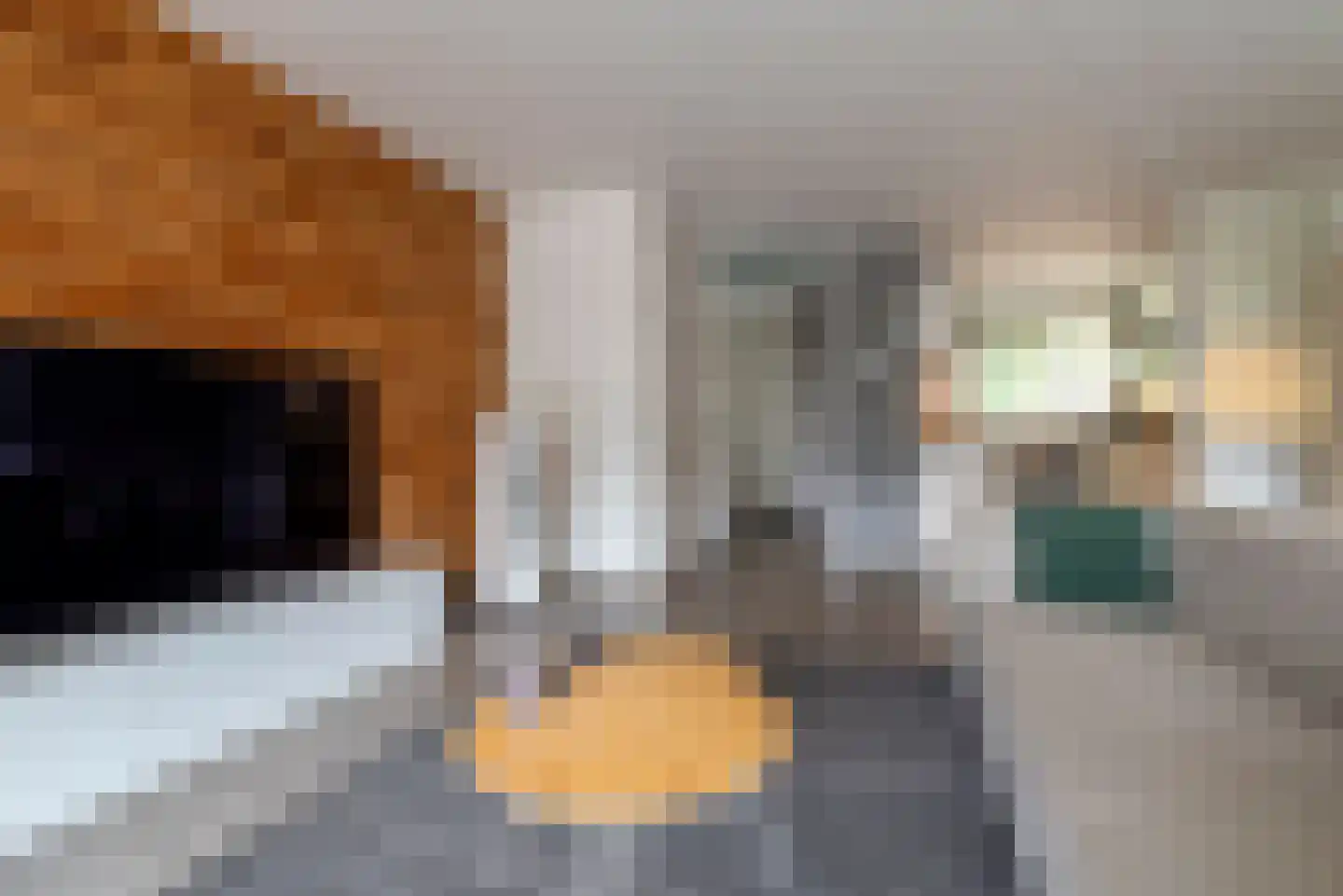Linnaeuslaan 57 Veenendaal thumbnail 10