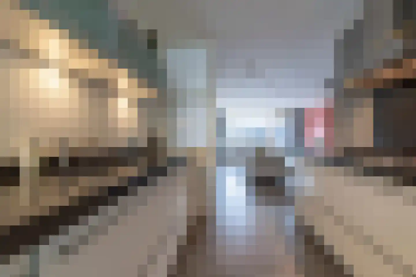 Linnaeuslaan 57 Veenendaal thumbnail 15