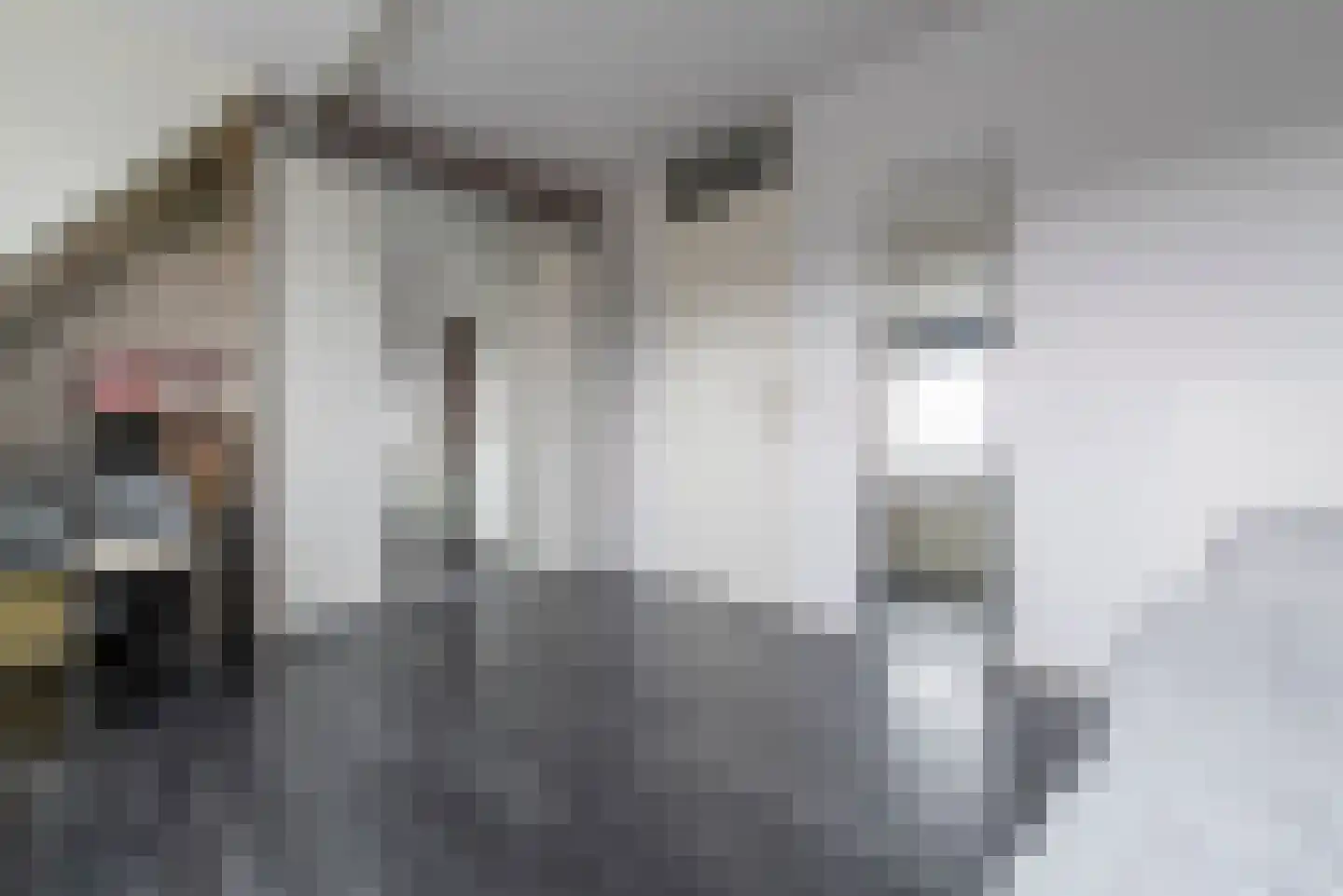 Linnaeuslaan 57 Veenendaal thumbnail 19