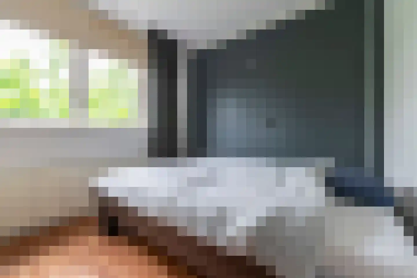 Linnaeuslaan 57 Veenendaal thumbnail 20