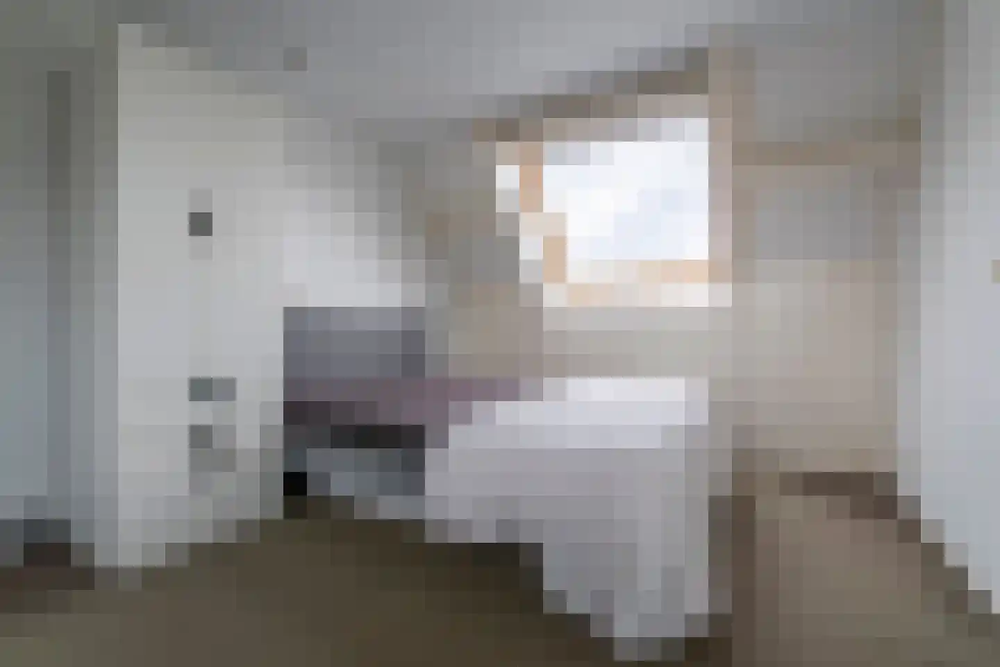 Linnaeuslaan 57 Veenendaal thumbnail 27