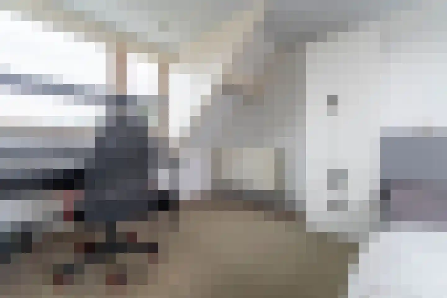 Linnaeuslaan 57 Veenendaal thumbnail 28