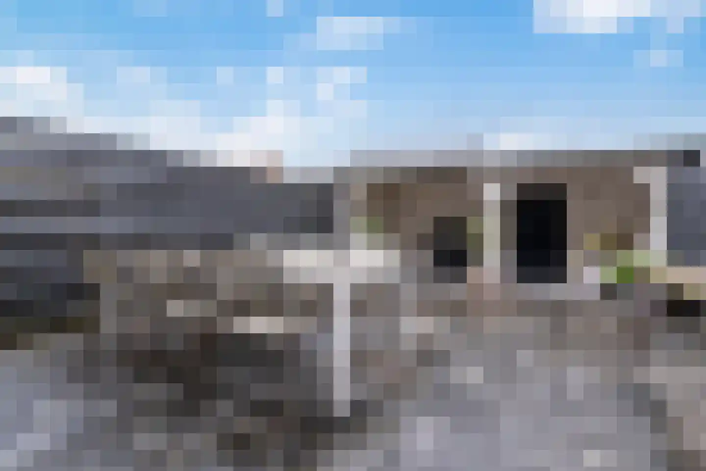 Linnaeuslaan 57 Veenendaal thumbnail 32