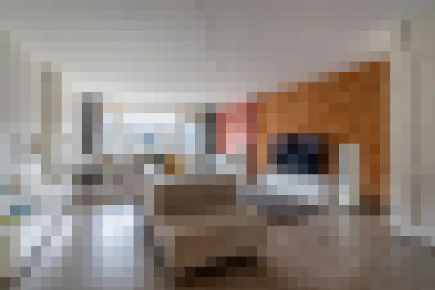 Linnaeuslaan 57 Veenendaal thumbnail 7