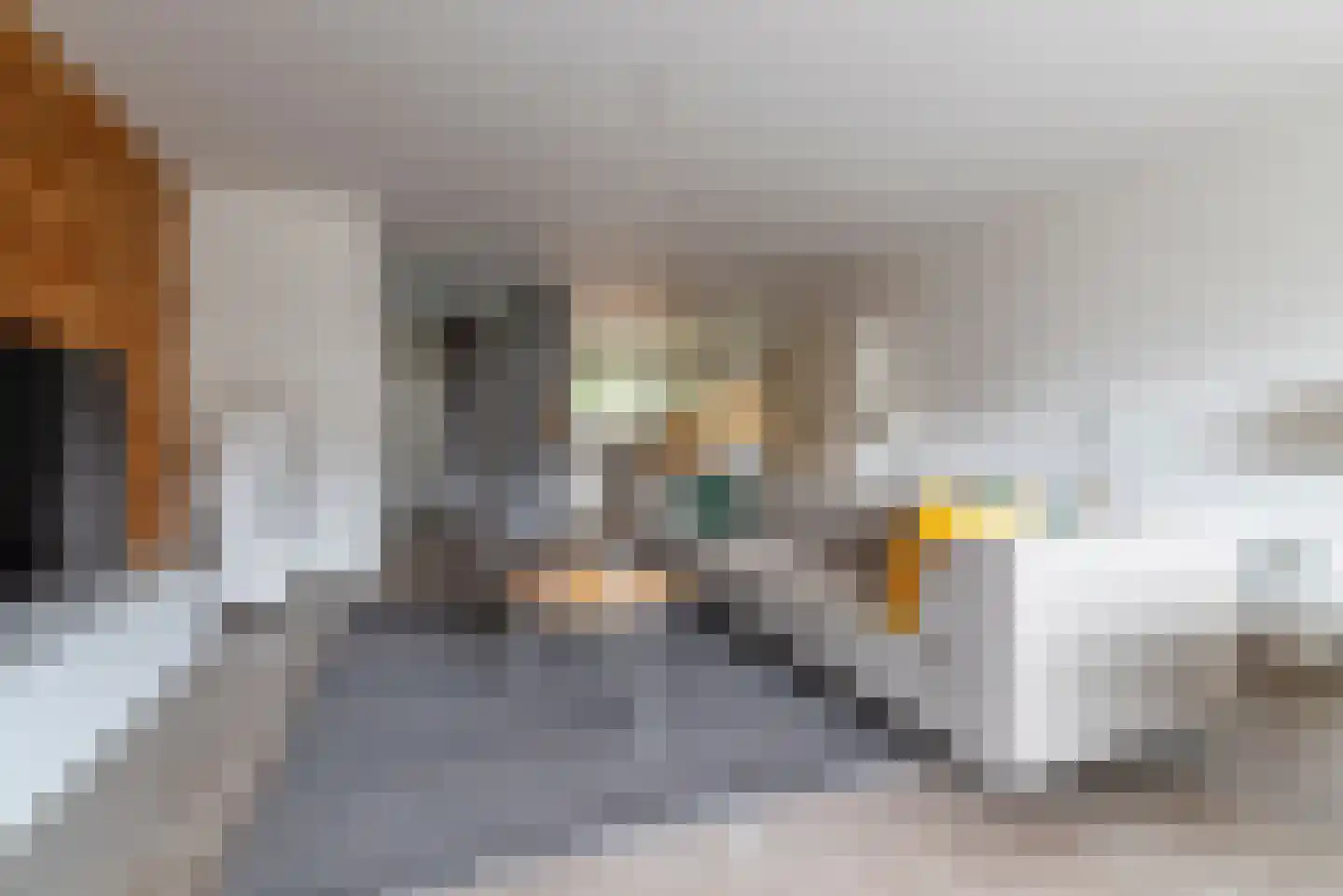 Linnaeuslaan 57 Veenendaal thumbnail 9