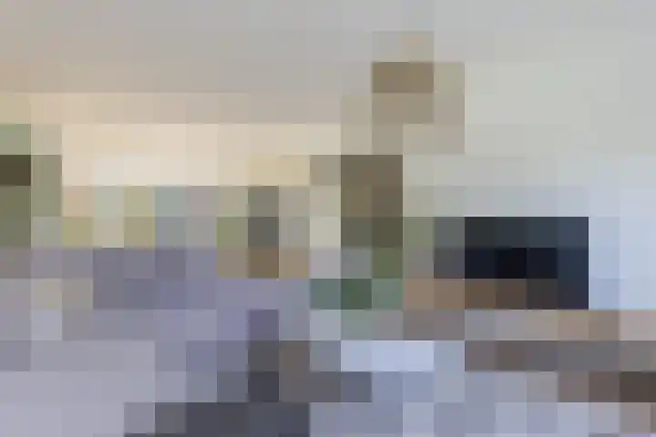 Linnaeuslaan 58 Aalsmeer thumbnail 11