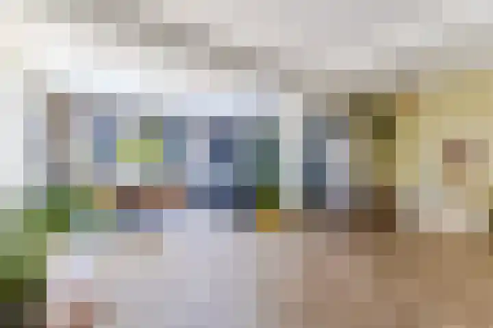 Linnaeuslaan 58 Aalsmeer thumbnail 12