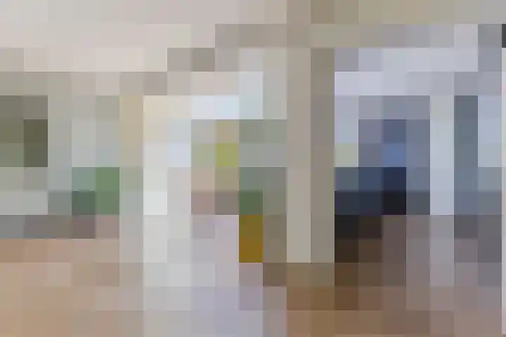 Linnaeuslaan 58 Aalsmeer thumbnail 13