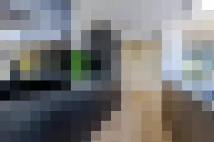 Linnaeuslaan 58 Aalsmeer thumbnail 19
