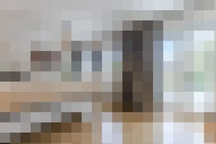 Linnaeuslaan 58 Aalsmeer thumbnail 26