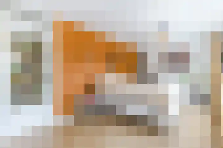 Linnaeuslaan 58 Aalsmeer thumbnail 27