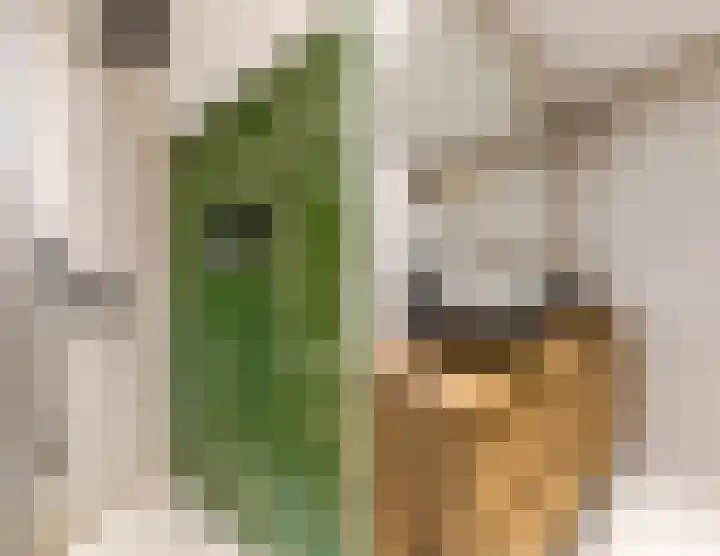 Linnaeuslaan 58 Aalsmeer thumbnail 37