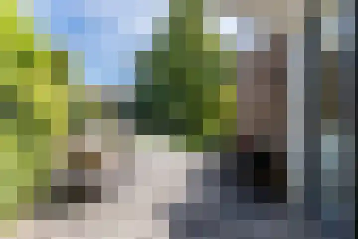 Linnaeuslaan 58 Aalsmeer thumbnail 44