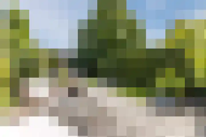 Linnaeuslaan 58 Aalsmeer thumbnail 45