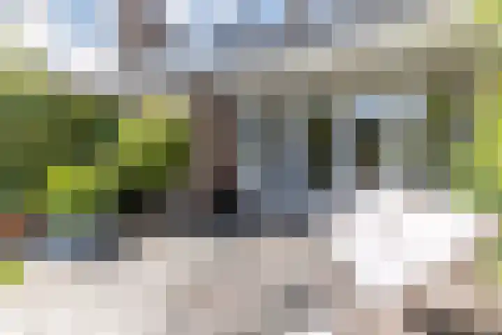 Linnaeuslaan 58 Aalsmeer thumbnail 46