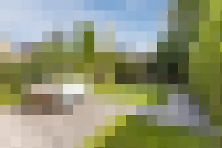 Linnaeuslaan 58 Aalsmeer thumbnail 47