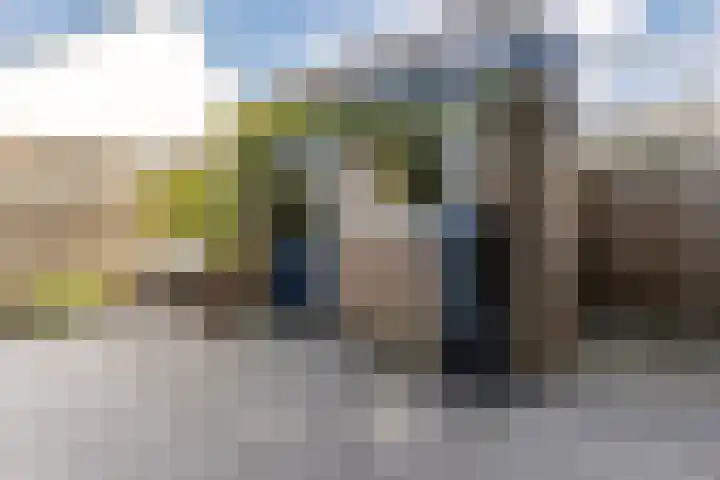 Linnaeuslaan 58 Aalsmeer thumbnail 48