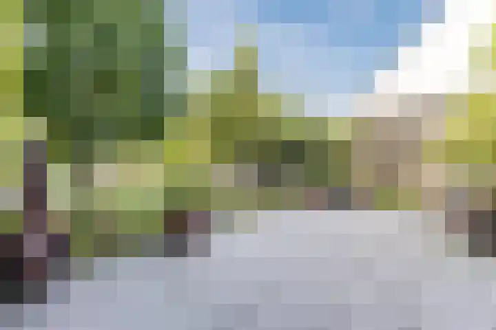 Linnaeuslaan 58 Aalsmeer thumbnail 49