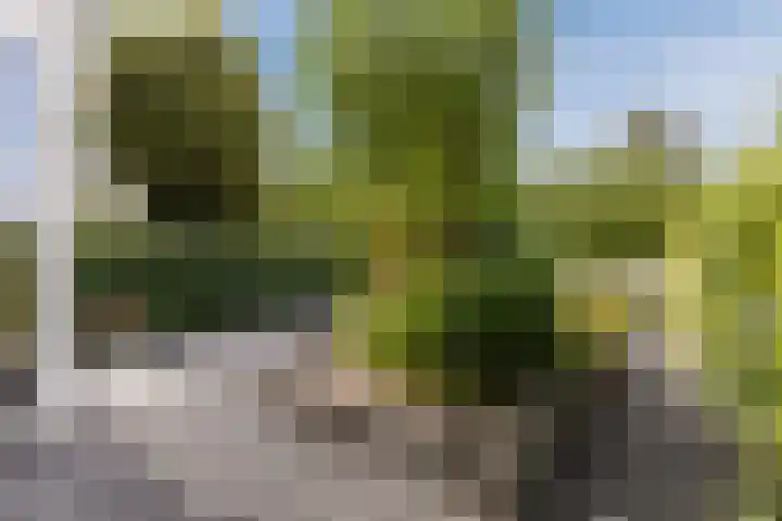 Linnaeuslaan 58 Aalsmeer thumbnail 5