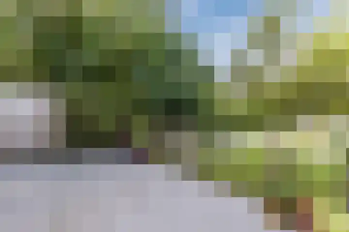 Linnaeuslaan 58 Aalsmeer thumbnail 50