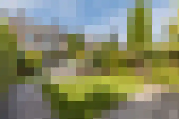 Linnaeuslaan 58 Aalsmeer thumbnail 52
