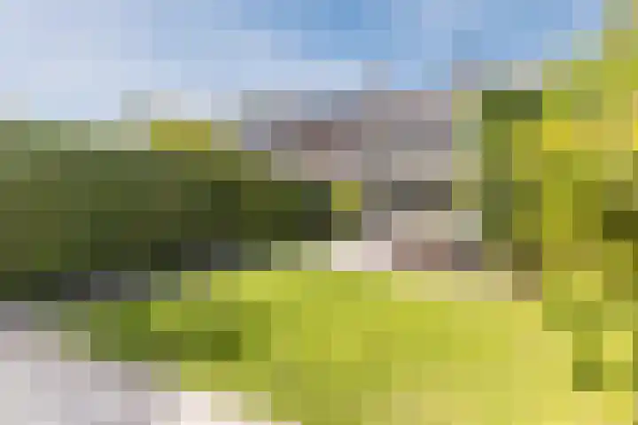 Linnaeuslaan 58 Aalsmeer thumbnail 53