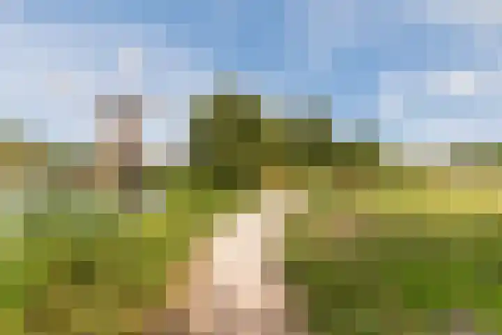 Linnaeuslaan 58 Aalsmeer thumbnail 56