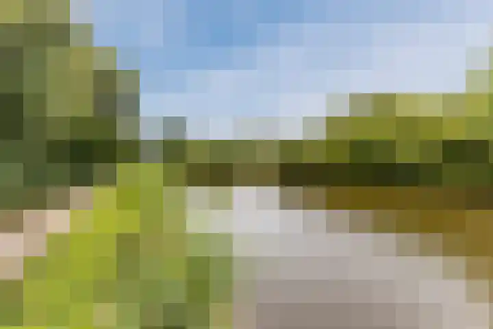 Linnaeuslaan 58 Aalsmeer thumbnail 58