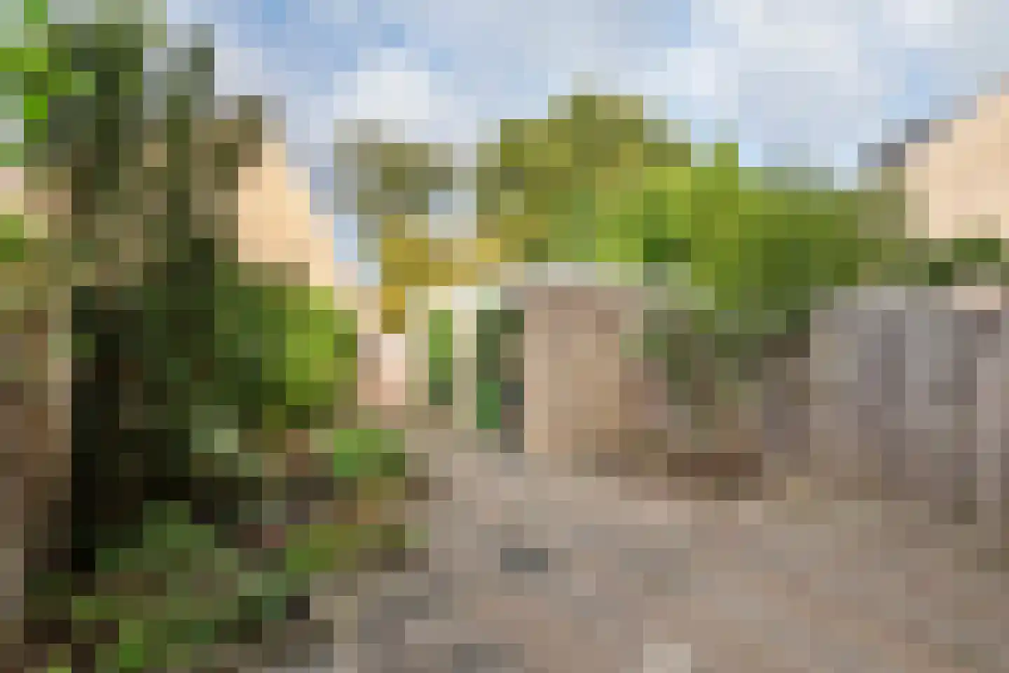 Linnaeuslaan 63 Culemborg thumbnail 24