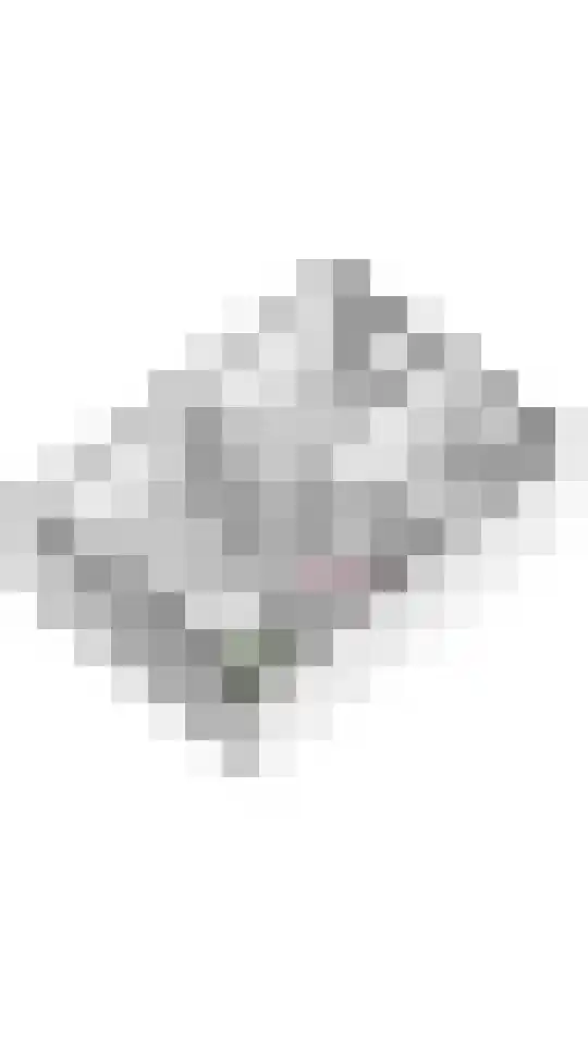 Linnaeuslaan 63 Culemborg thumbnail 32