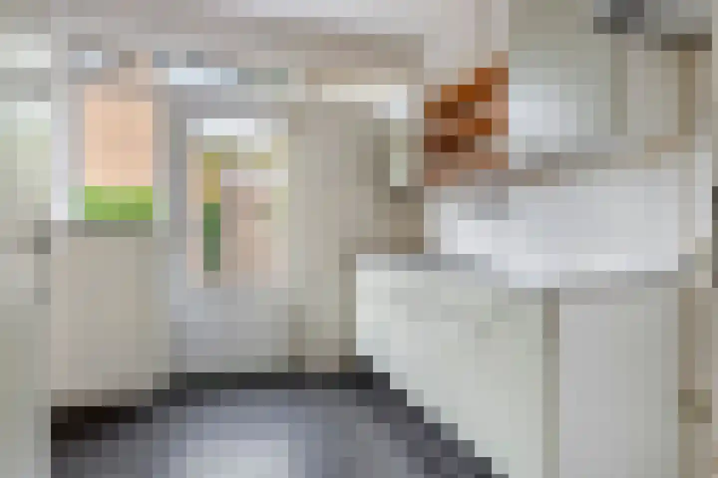 Linnaeuslaan 63 Culemborg thumbnail 9