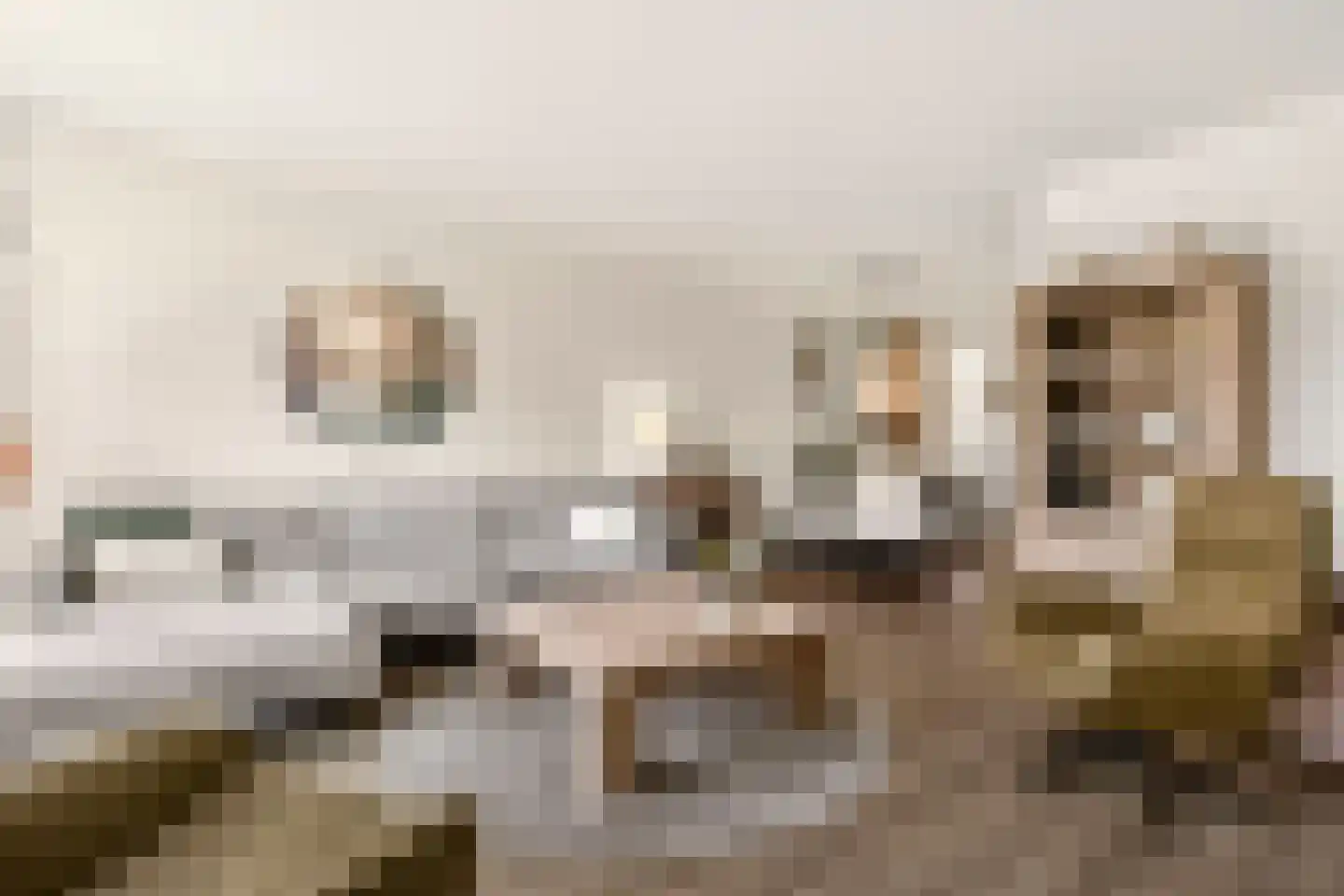 Linnaeuslaan 69 Veenendaal thumbnail 13