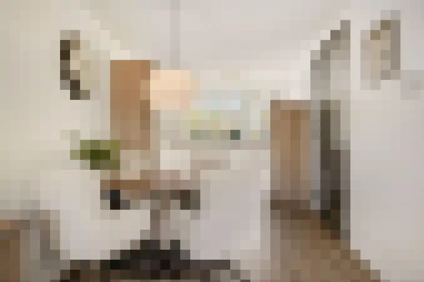 Linnaeuslaan 69 Veenendaal thumbnail 15