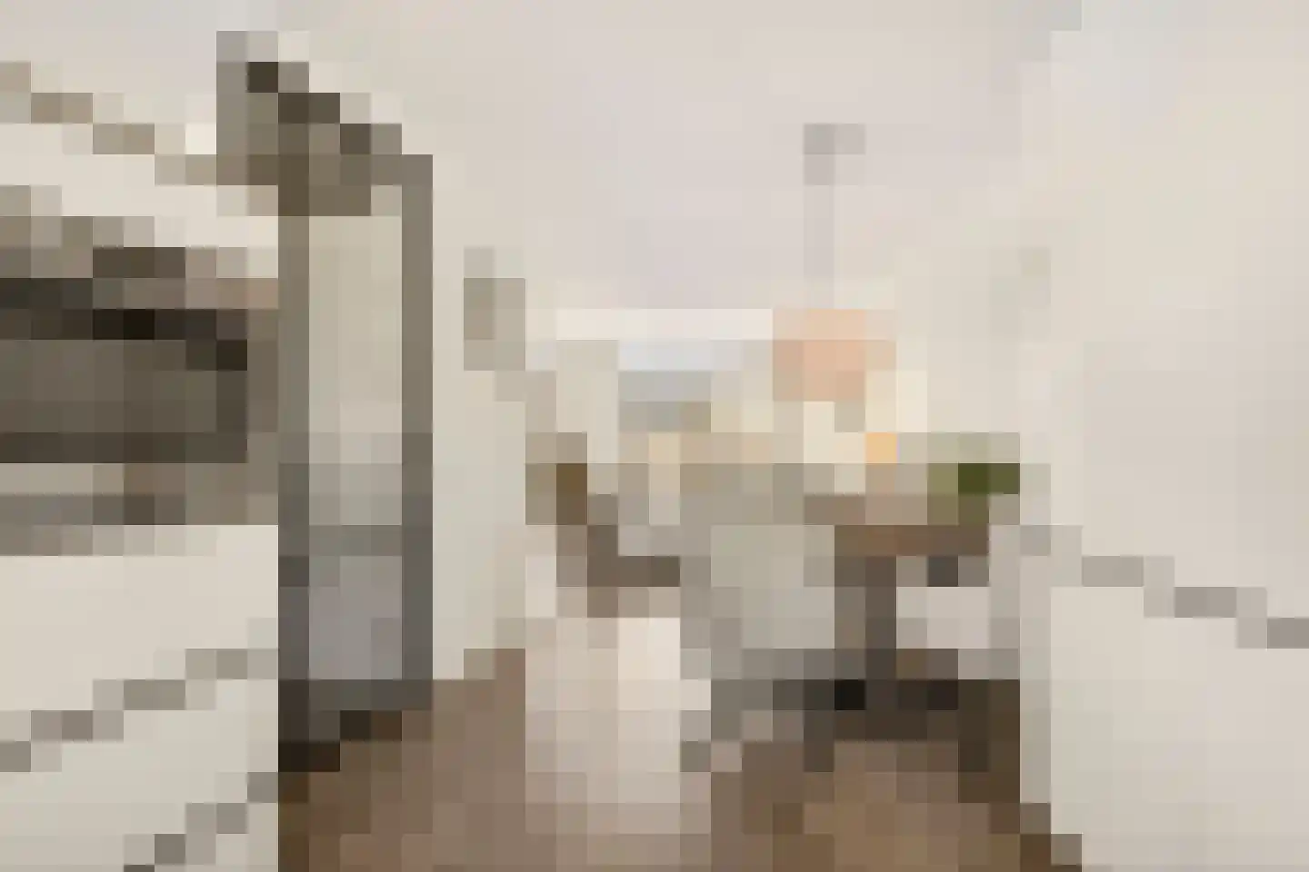 Linnaeuslaan 69 Veenendaal thumbnail 17