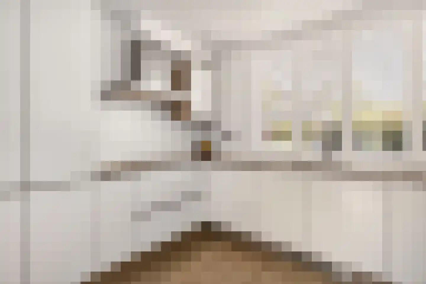 Linnaeuslaan 69 Veenendaal thumbnail 19