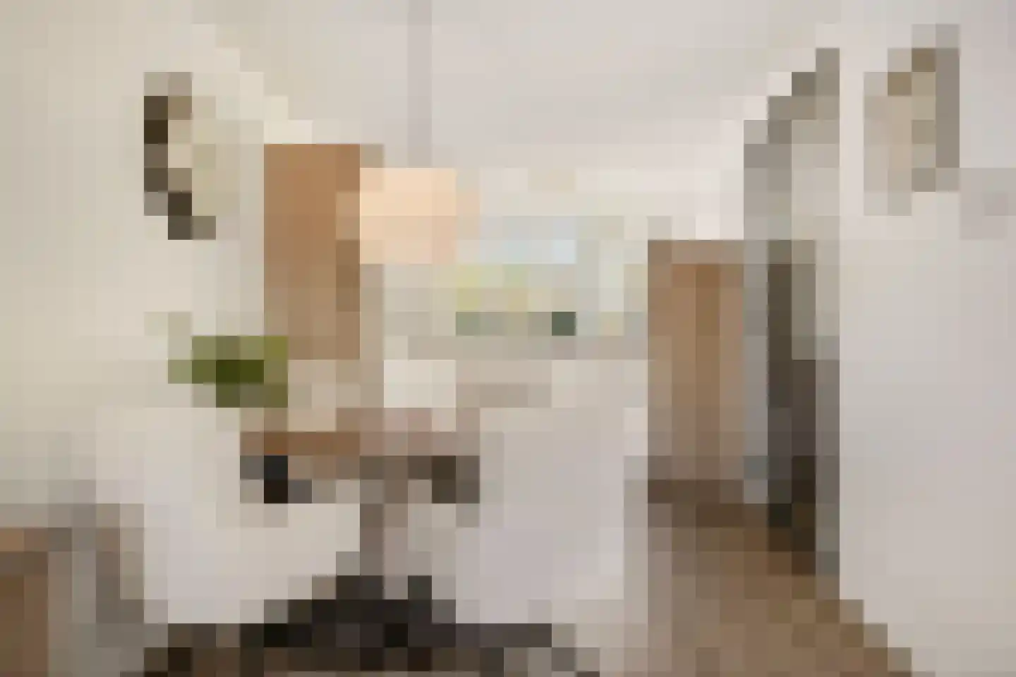 Linnaeuslaan 69 Veenendaal foto 2