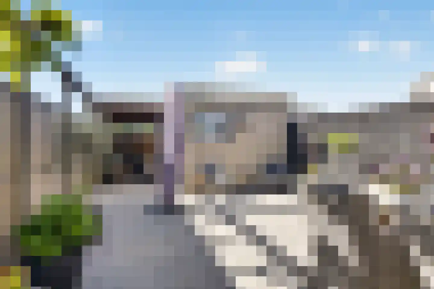 Linnaeuslaan 69 Veenendaal thumbnail 24