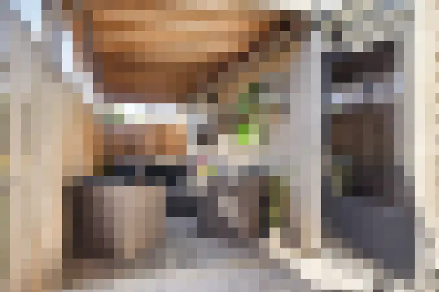 Linnaeuslaan 69 Veenendaal thumbnail 27