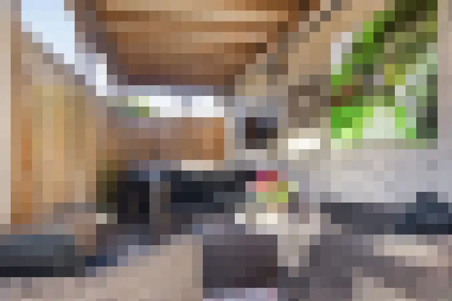 Linnaeuslaan 69 Veenendaal thumbnail 28