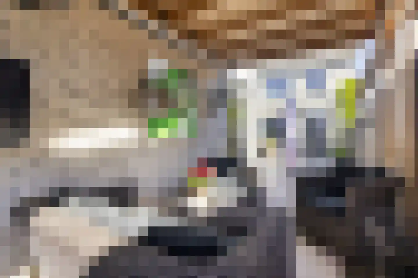 Linnaeuslaan 69 Veenendaal thumbnail 29