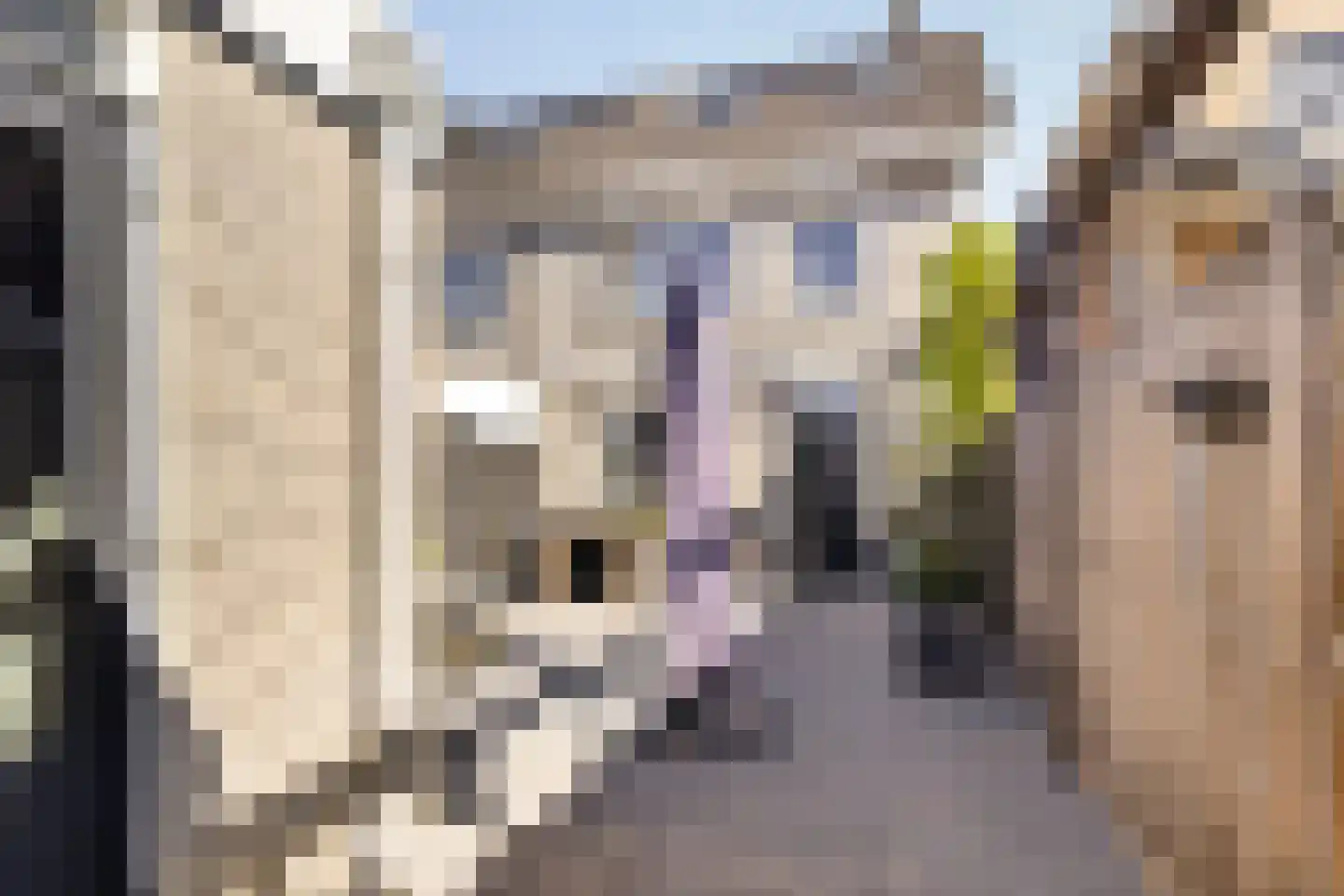 Linnaeuslaan 69 Veenendaal thumbnail 30